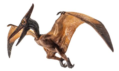 Pteranodon .